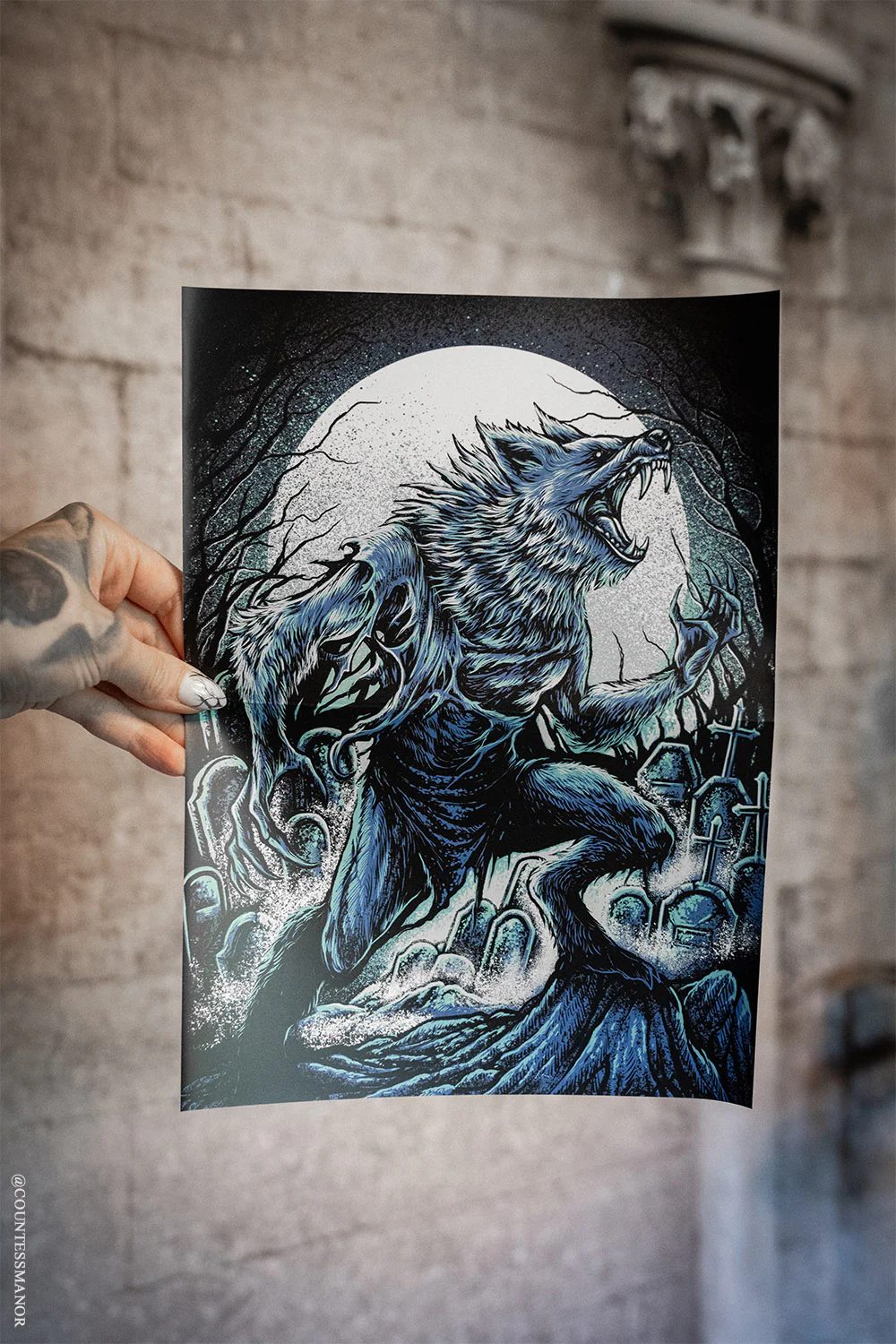 Thumbnail 6